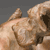 Closeup, bird