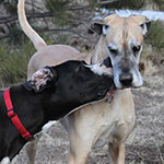 Friends from the first