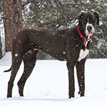 Standin' in the snow