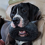 Where the rubber meets the road