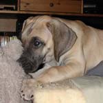 I like my new teddy...