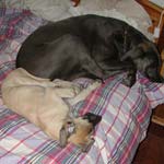 Sleeping in