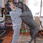 Shall We Dance?