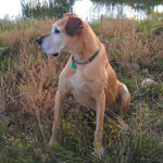 In the great outdoors