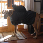 We're ready to go out